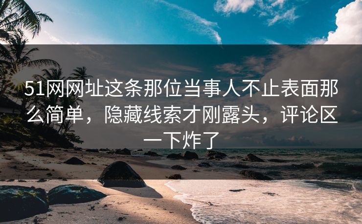 51网网址这条那位当事人不止表面那么简单，隐藏线索才刚露头，评论区一下炸了