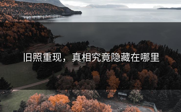 旧照重现，真相究竟隐藏在哪里